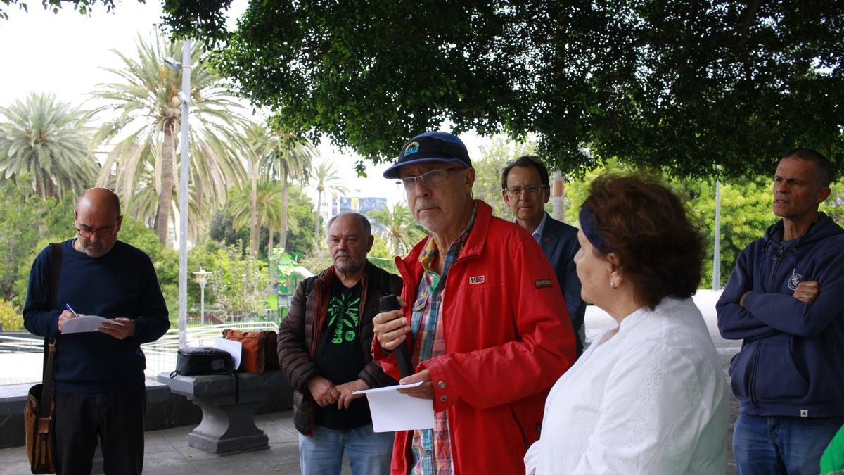 La Mesa del Árbol Urbano de Gran Canaria lanza un manifiesto para una gestión sostenible del arbolado urbano