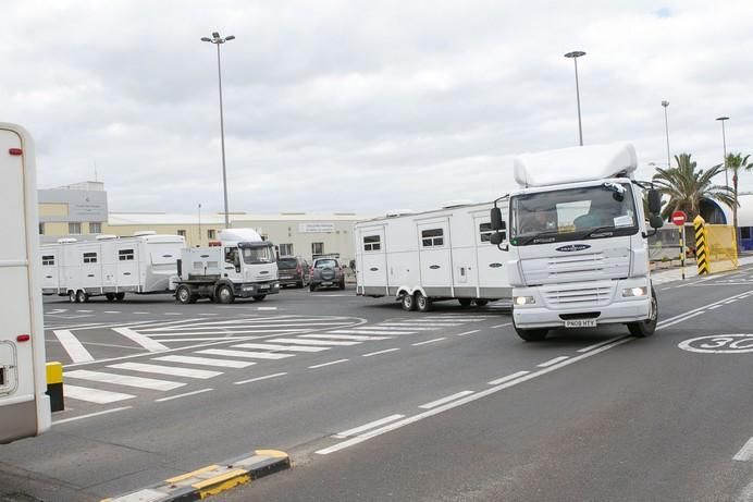 FUERTEVENTURA - llegada a Puerto del Rosario  de los trailers de la pelicula star wars - 25-05-17