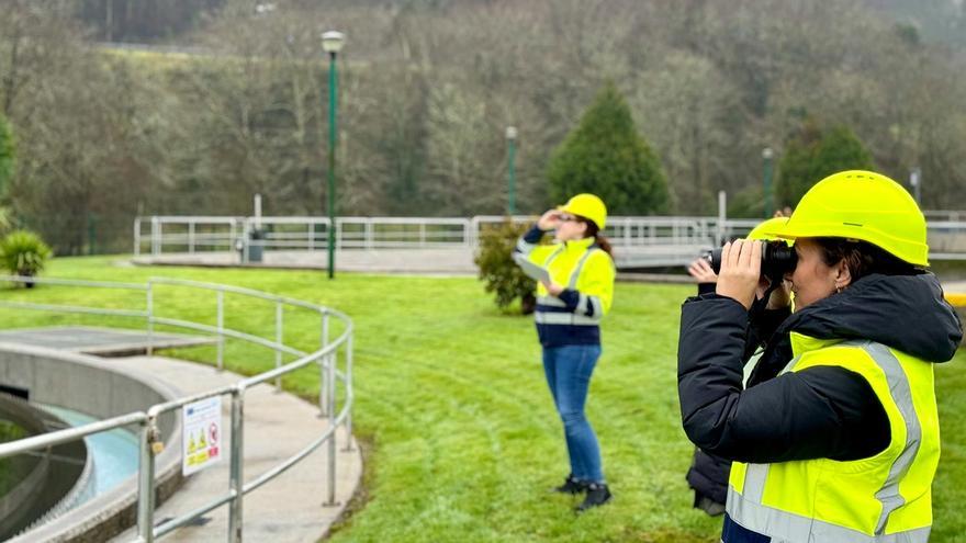 Aprender de la naturaleza para hacer frente al desafío del cambio climático