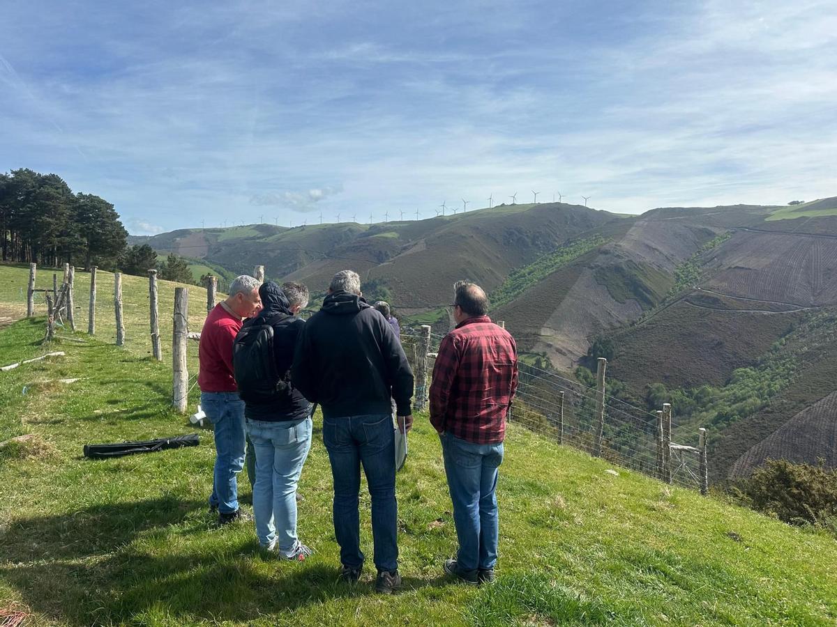 Visita al monte este miércoles.