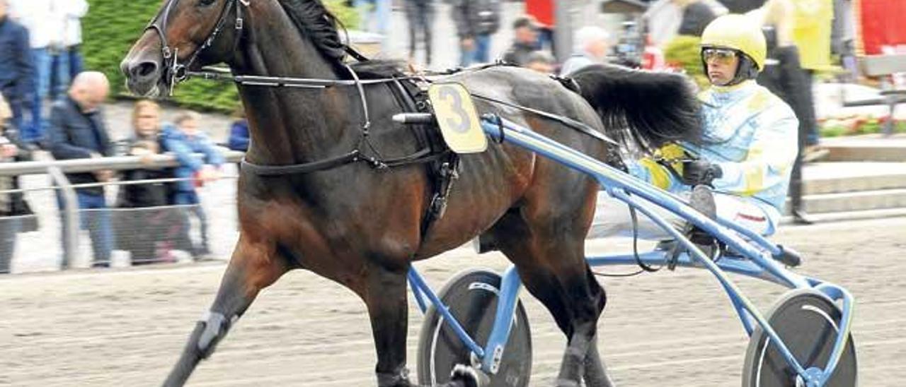 Trébol y Biel Pou en la preparación de su participación en mayo en la ´Copenhaguen Cup´.