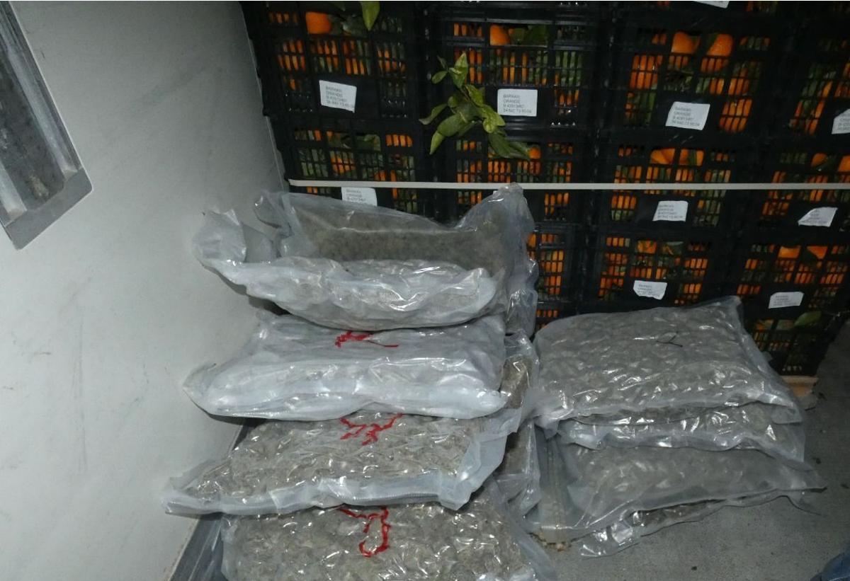 La droga intervinguda a Llers el 8 de febrer amagada en un palet de bledes.