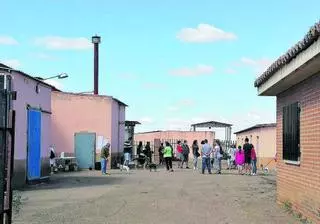 El refugio de los animales abandonados de Toro, desbordado por la falta de voluntarios