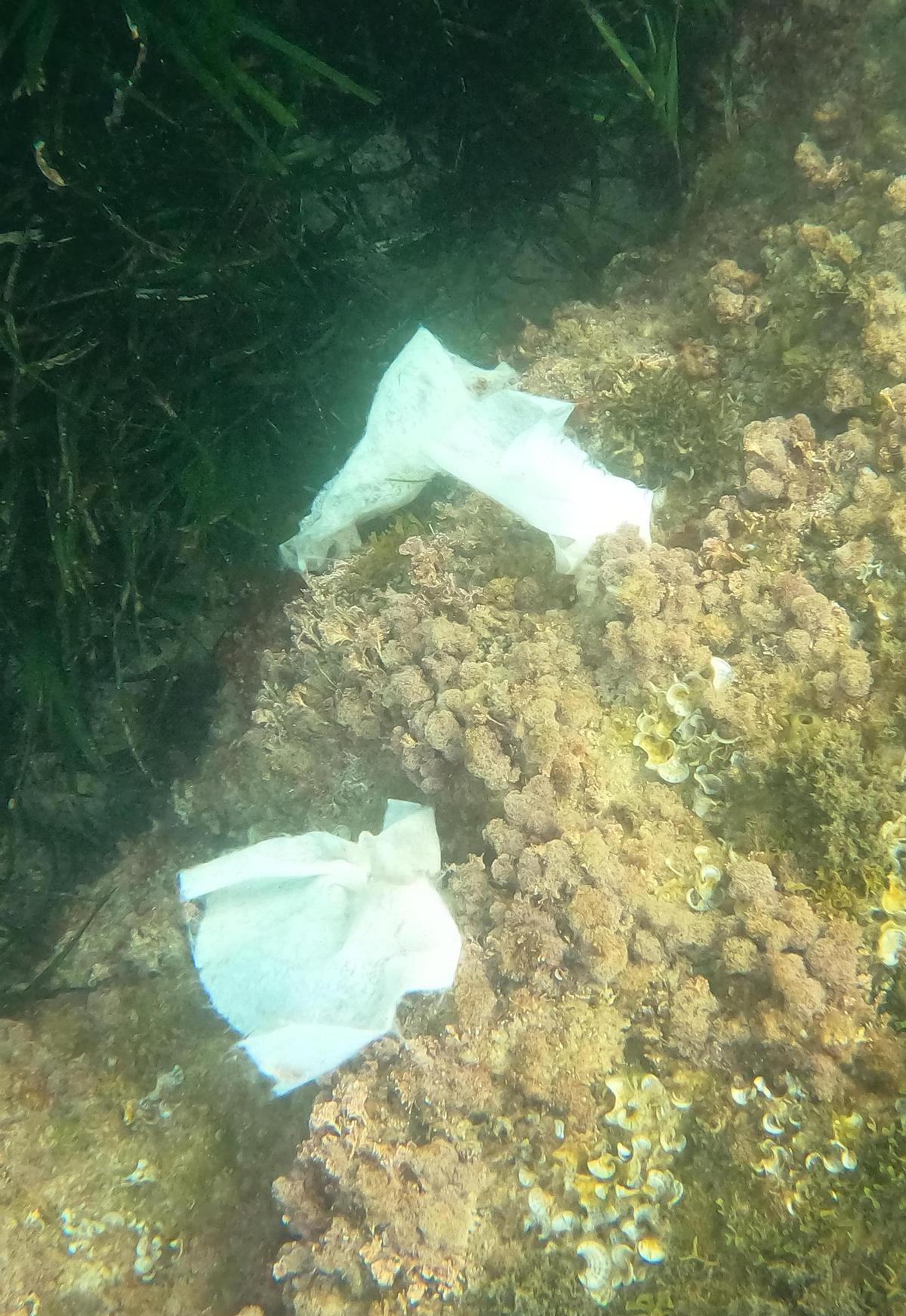 Toallitas en el fondo marino del Cabo de la Huerta.