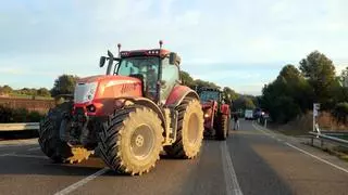 El ministro de Agricultura manda a su número tres a Barcelona para negociar con los agricultores catalanes