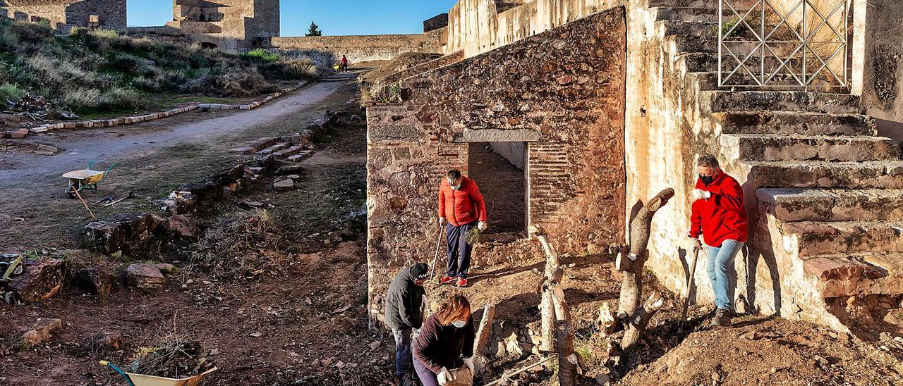 Unos voluntarios, en plena retirada de las chumberas. | ISMAEL  RODRIGO