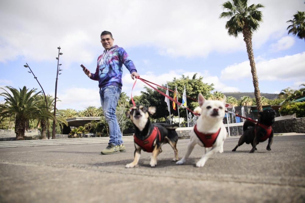 Fotos de las actividades que paran hoy en Santa Cruz de Tenerife  | 30/03/2020 | Fotógrafo: Delia Padrón