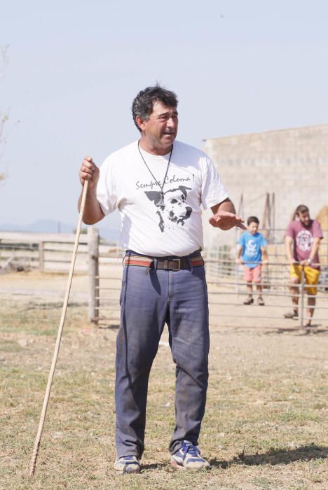 Jordi Muxach dóna a conèixer als turistes l''ofici de pastor i la importància dels gossos d''atura