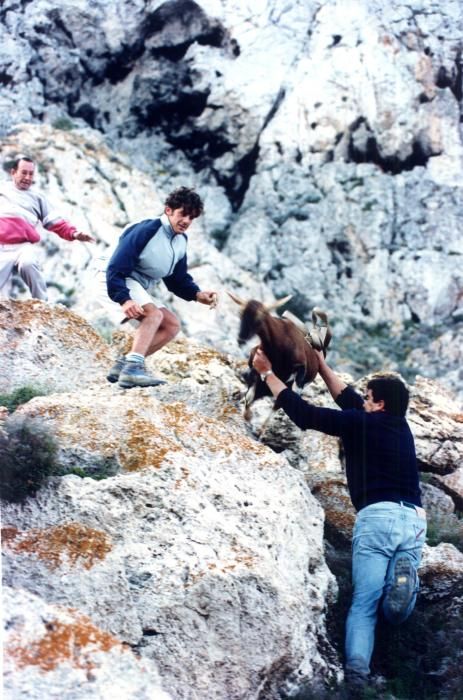 Un fotógrafo y un redactor de Diario de Ibiza plasmaron en un reportaje la cruenta caza de rumiantes en el islote hace 23 años