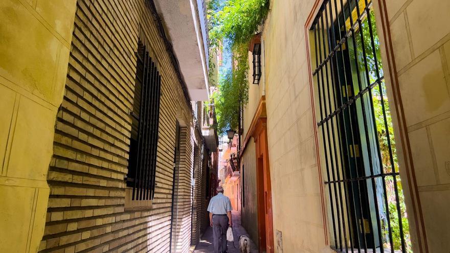 VÍDEO | La calle Verde, El Greco o Cruz Roja: los refugios climáticos naturales de Sevilla para protegerse de las altas temperaturas