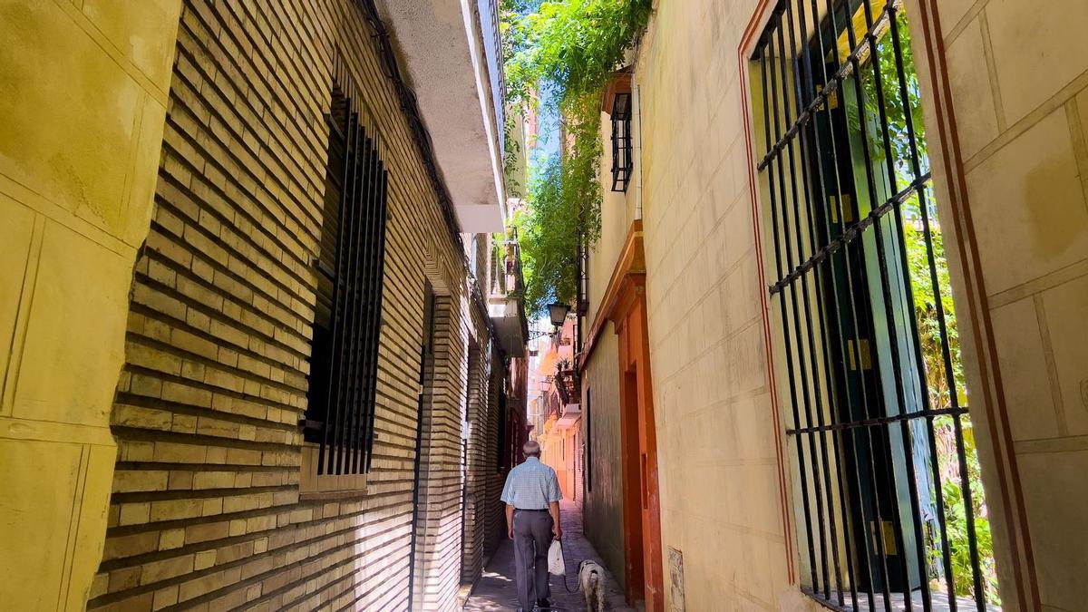 VÍDEO | La calle Verde, uno de los refugios climáticos de Sevilla