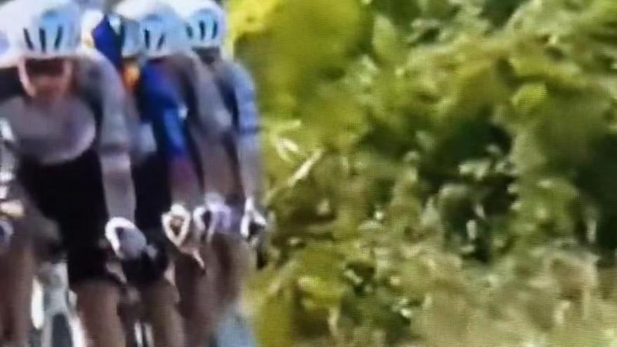 ¡La terrible caída que deja a Pogacar fuera de la Vuelta a España!