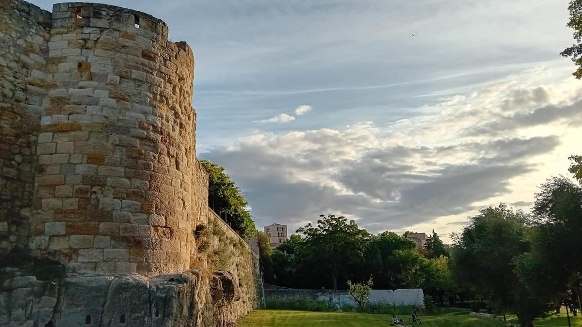 Trascastillo Zamora