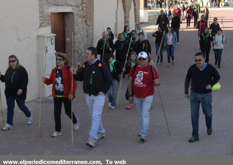 GALERÍA DE FOTOS -  Romería Magdalena 2014 (1)