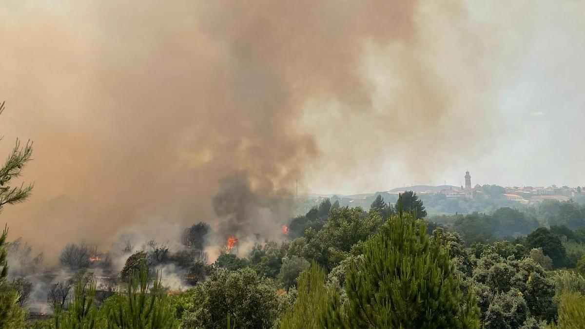 Imagen de las llamas que están afectando a una extensa zona forestal en la comarca del Alto Palancia.