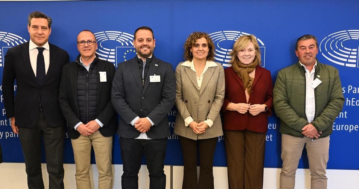 Políticos y representates de la plataforma Sí a Almaraz, este miércoles en Bruselas.