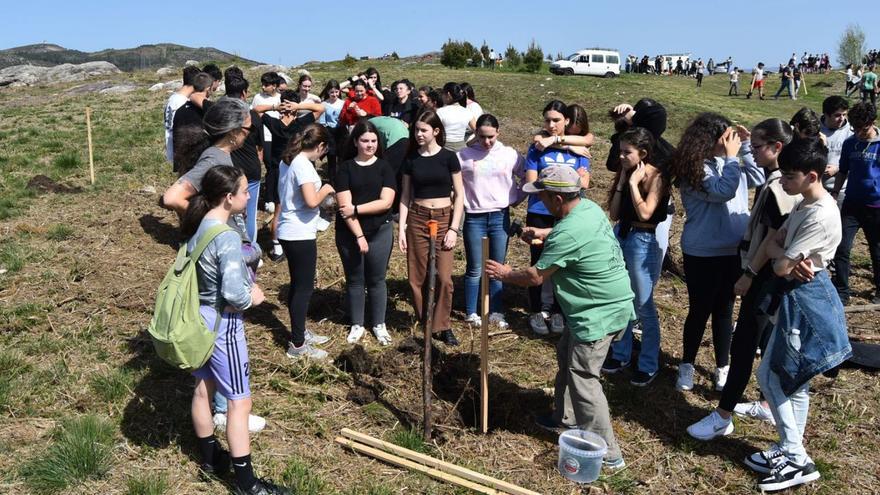 Plantación organizada por la Comunidad de Montes de Amoedo el mes pasado con usuarios  de la asociación Aspavi y alumnos del colegio Curros Enríquez de Pazos.