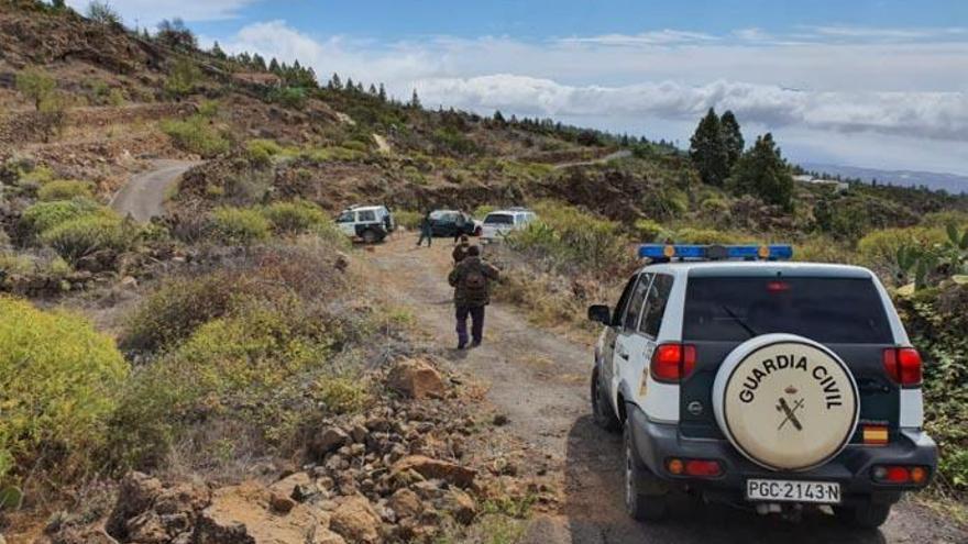 Denuncian a dos hombres que practicaban la caza furtiva de conejos