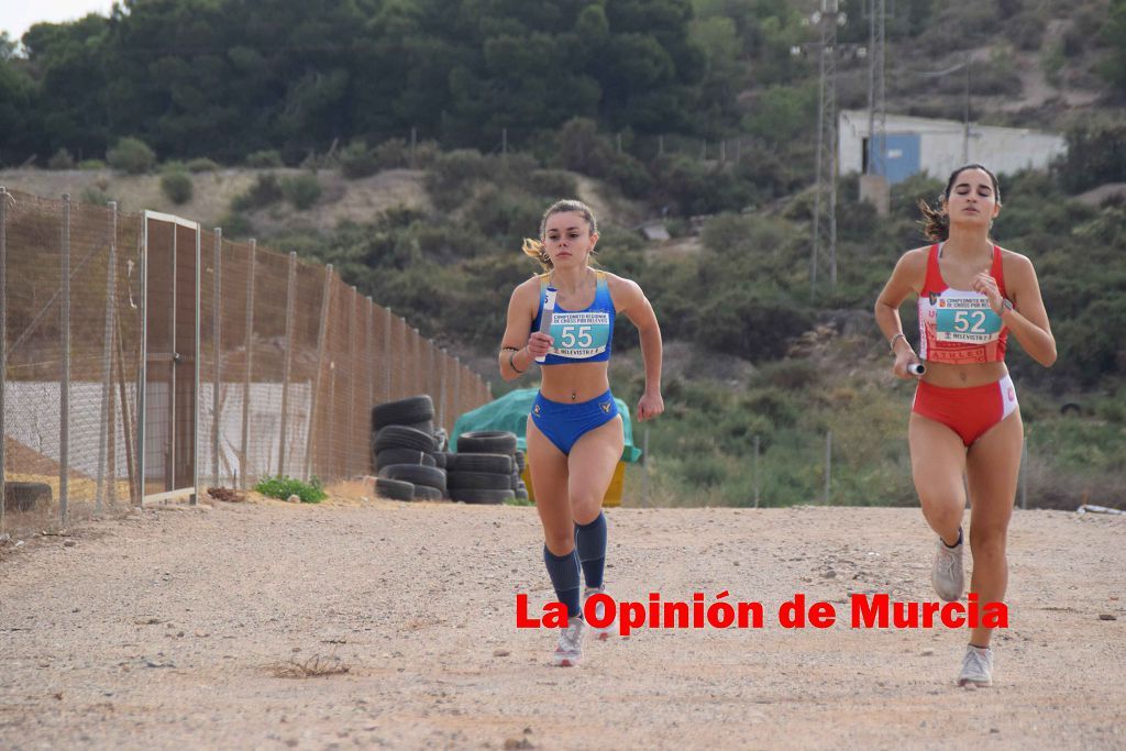 Campeonato Regional de relevos mixtos de atletismo