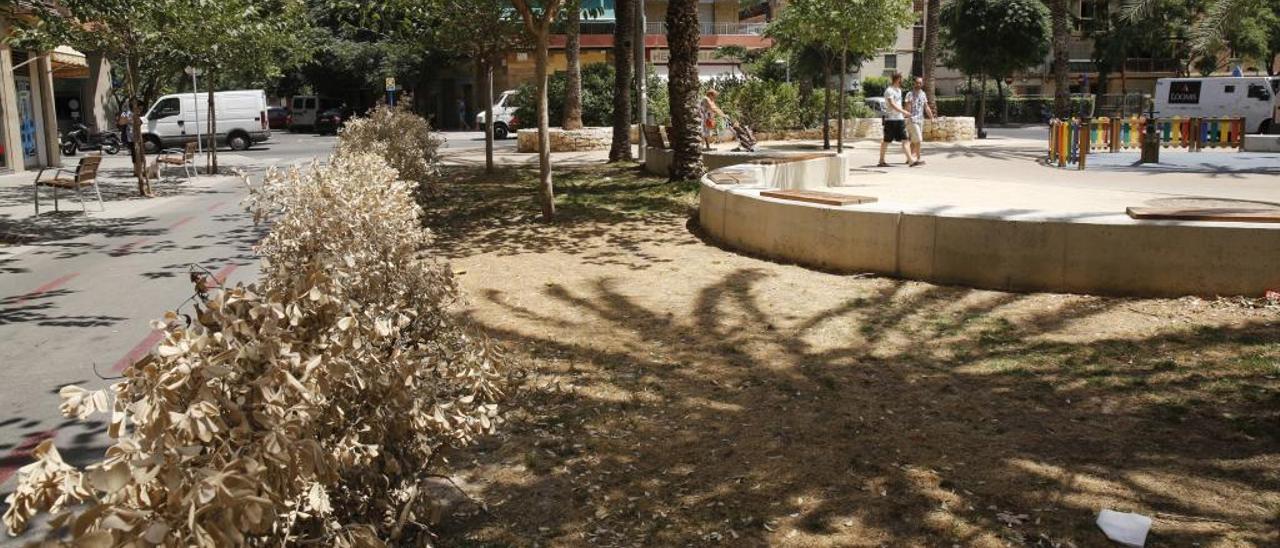 Los vecinos de El Pla critican la falta de mantenimiento de la plaza Estella