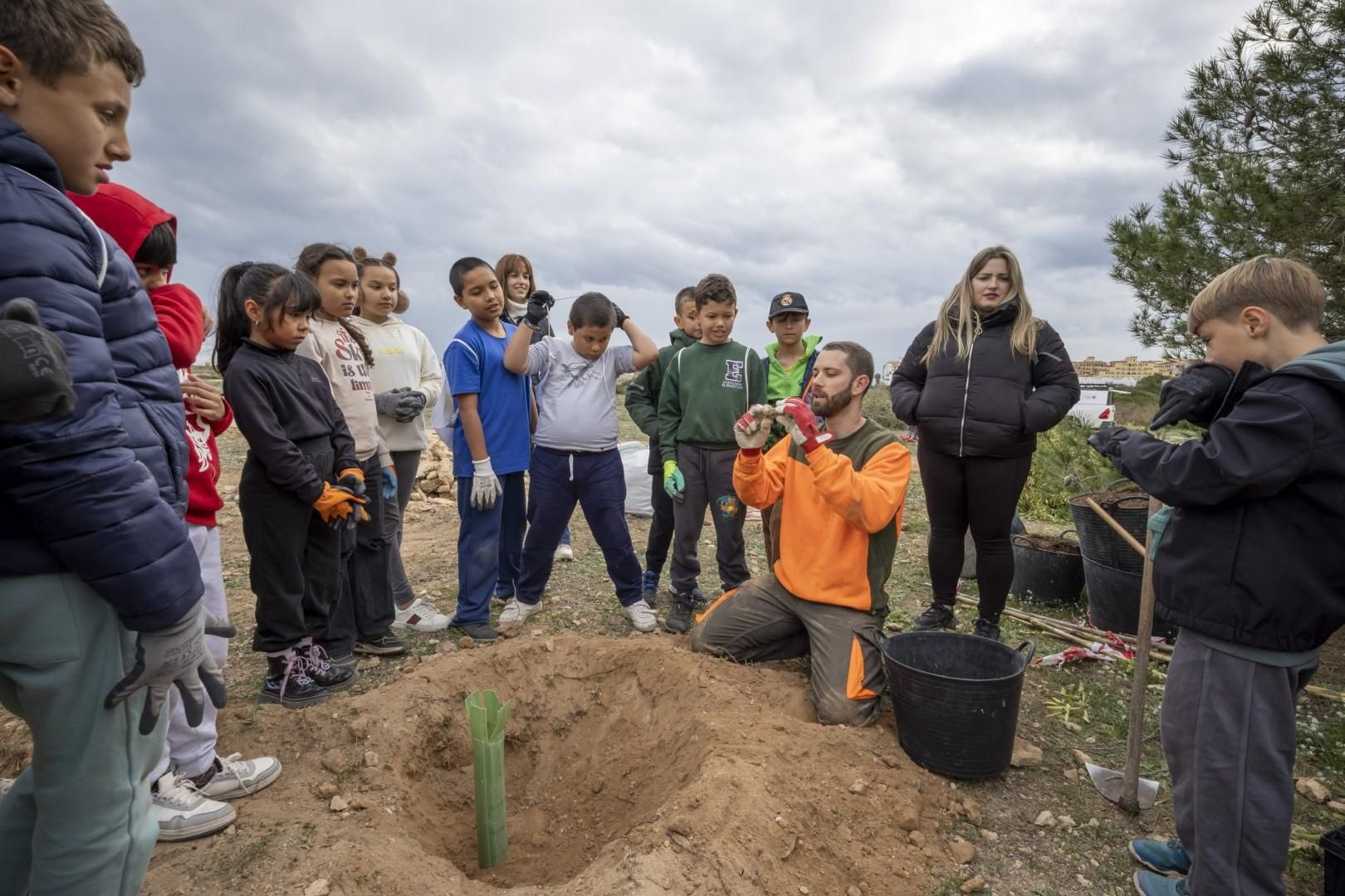 Jornada escolar plantación de especies autóctonas junto al parque natural de las lagunas de Torrevieja y La Mata