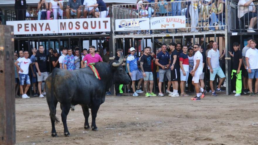 Tre feriti in una serata di corride piena di incidenti durante le feste di Burriana