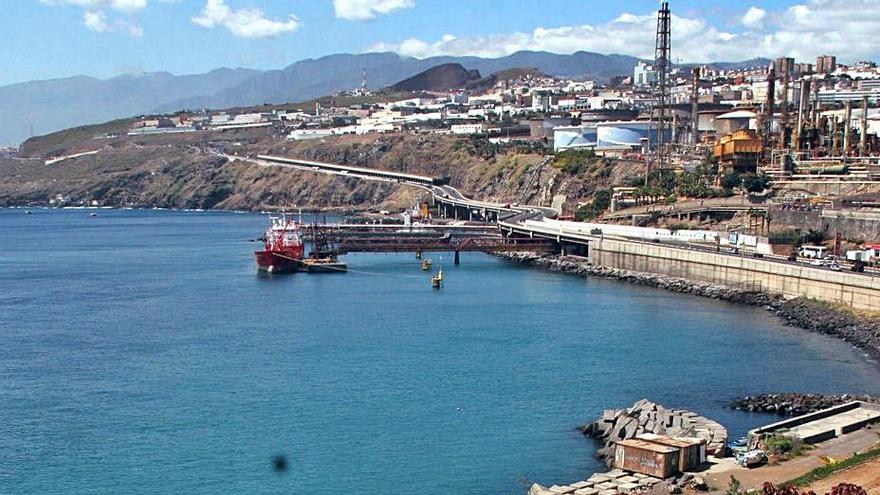 La zona que rodea el Palmétum se convertirá en un paseo con terrazas