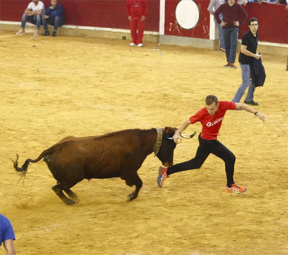 Mejores momentos de las Vaquillas