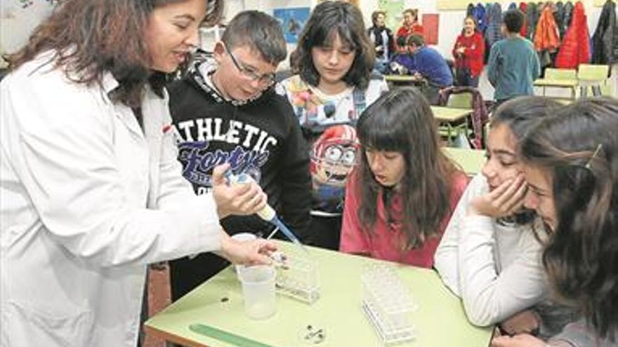 Más de 500 escolares participan en la actividad ‘Ciencia Primaria’