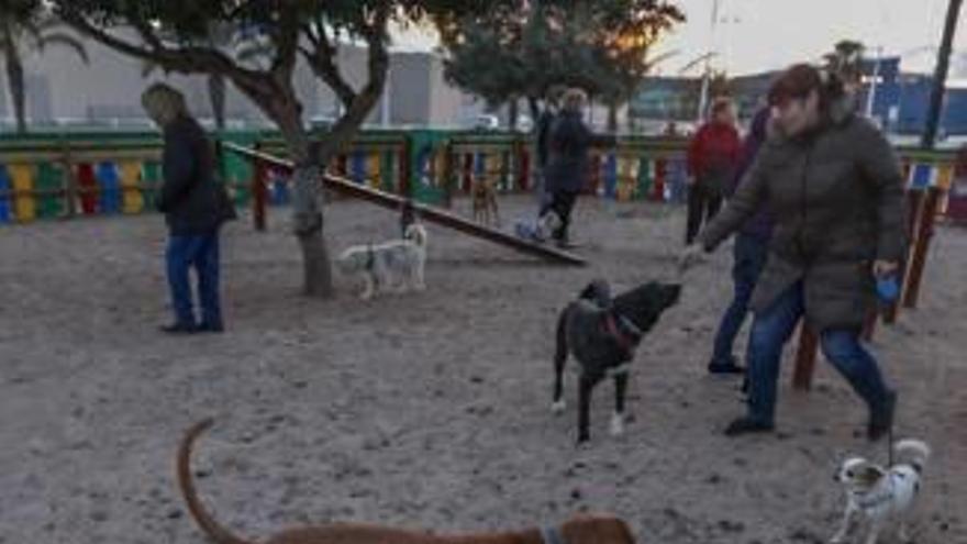 La Policía Local interpone una treintena de multas por orines y canes sin correa en Torrellano