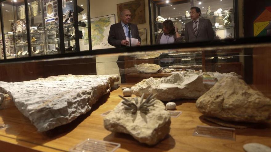 El Museo de Geología de la Universidad triplicará su espacio expositivo tras la ampliación