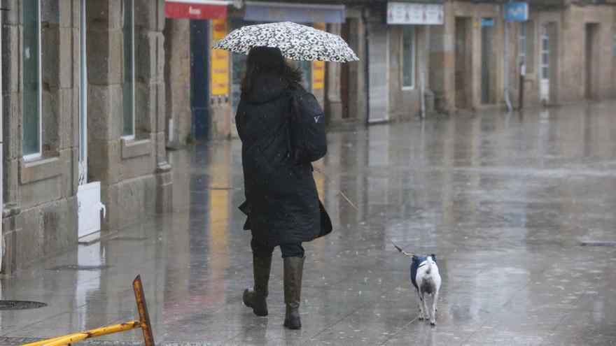 Otro temporal más y los animales tienen que salir igual.  Por favor, que encuentren alguna manera de canalizar la lluvia que aquí tanto nos sobra a otros lugares de España que tanto falta. Ya ven, hasta los perros tienen que salir bien abrigados para hacer frente a tanto viento y a tanta lluvia. Porque en casa no pueden estar siempre. Hay que sacarlos a pasear.