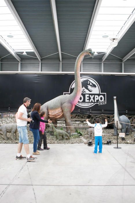 Dinoexpo en Ifeza