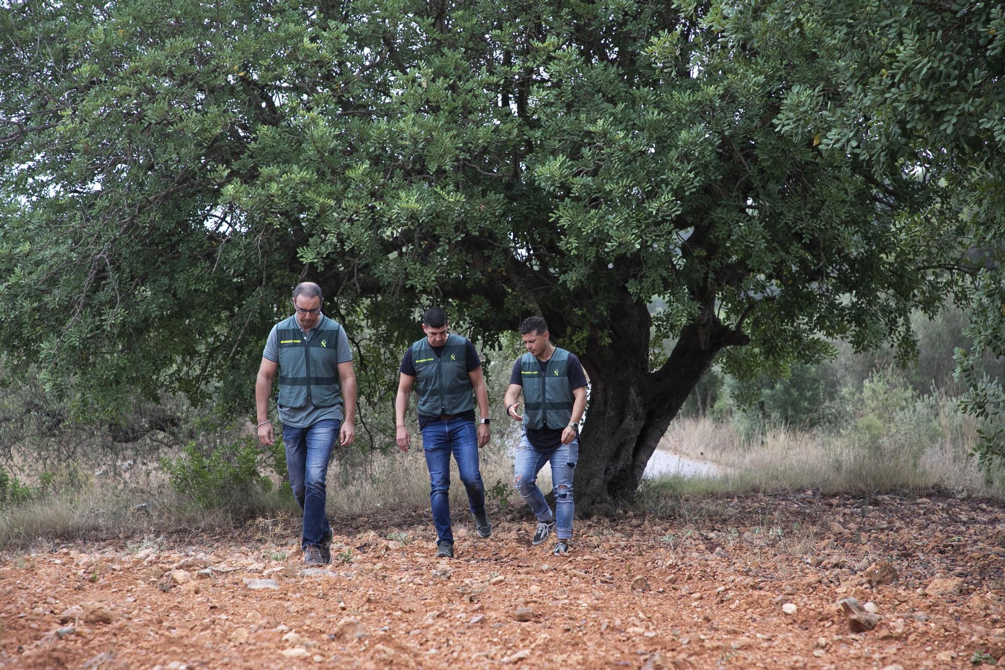 El equipo ROCA de la Guardia Civil vigila los delitos cometidos en el campo