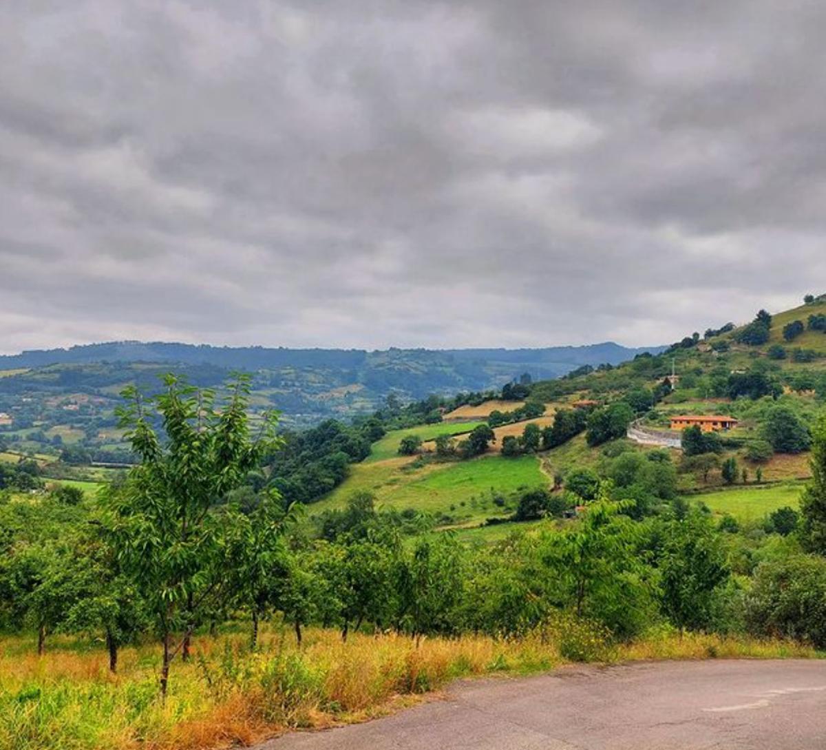 Vista de Lavandera