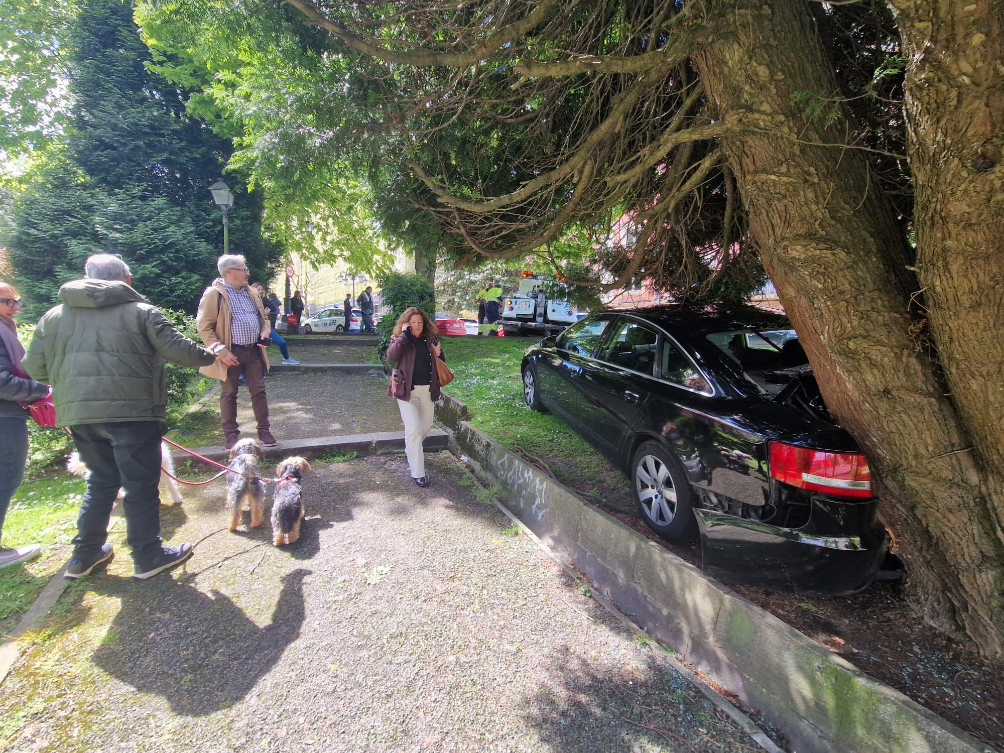 EN IMÁGENES: Un coche irrumpe en uno de los parques más conocidos de Oviedo para sorpresa de los peatones