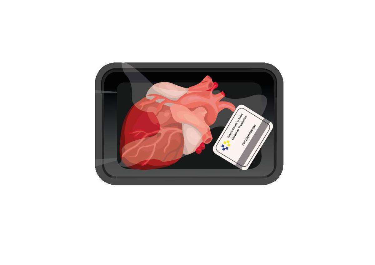 Infografía de un corazón.