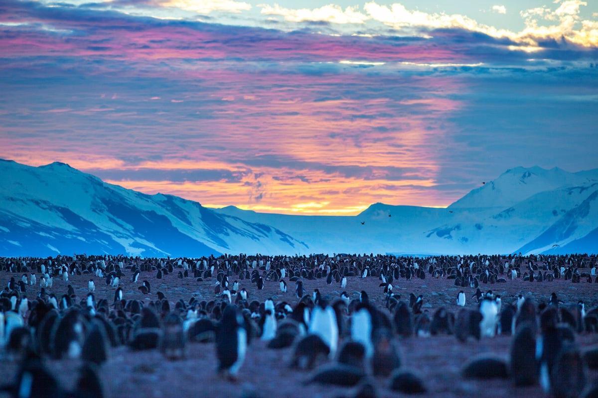 Mar de Ross, Antártida