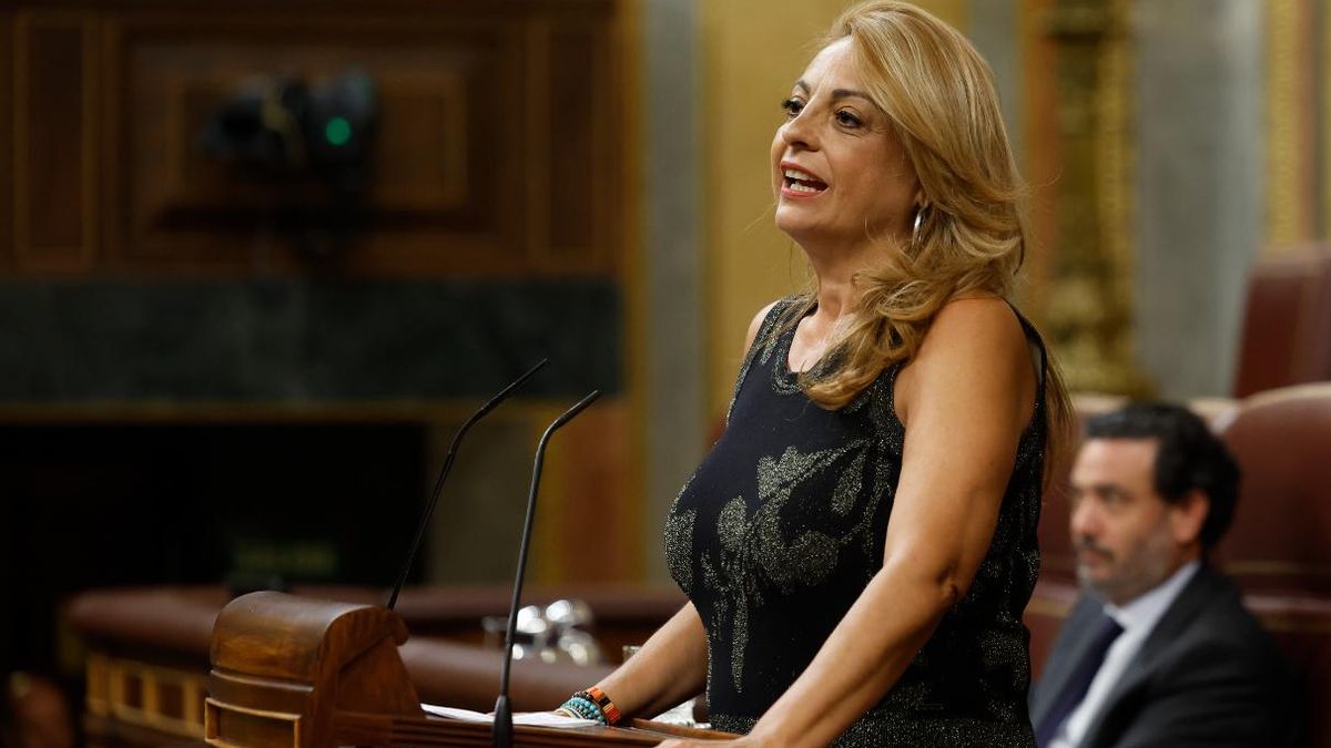 Intervención de Cristina Valido en el Congreso de los Diputados