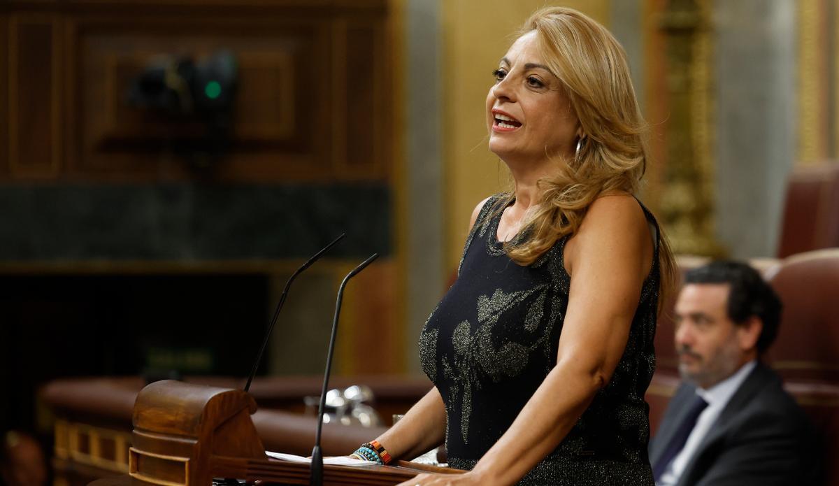 Cristina Valido durante el Pleno
