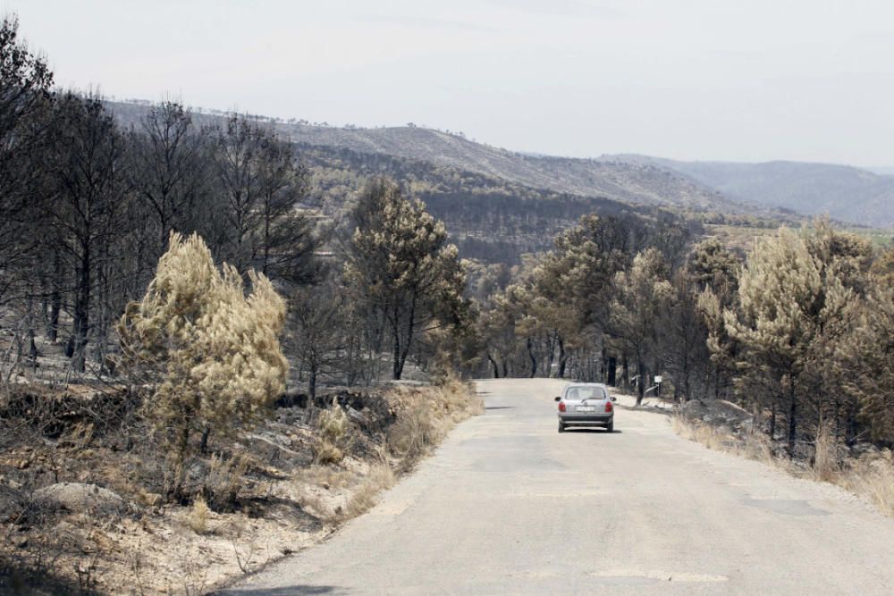 Andilla: ocho años desde su gran incendio