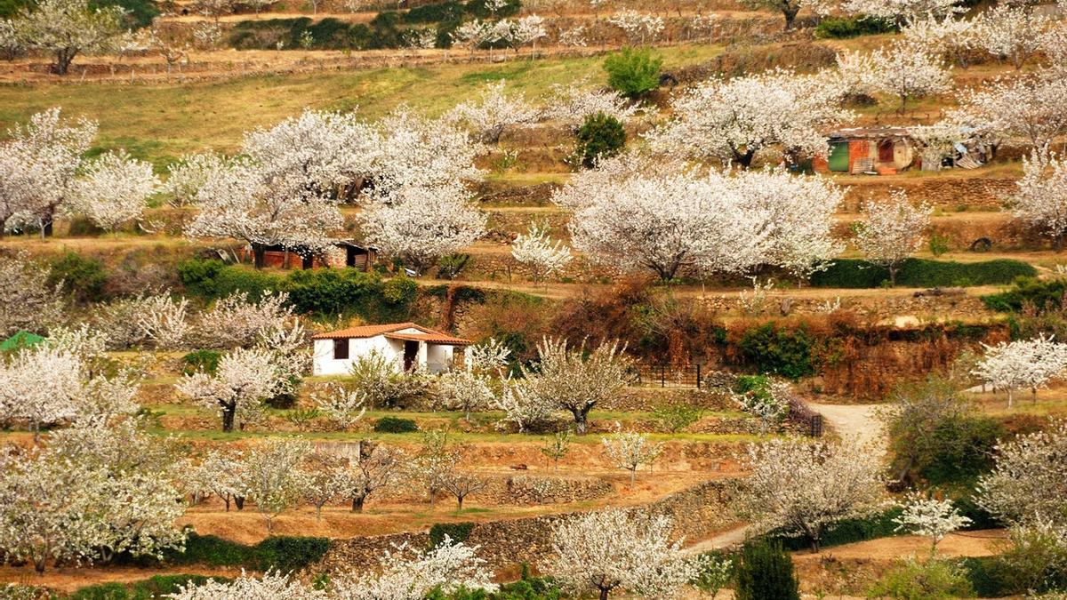 Cabezuela del Valle, Valle del Jerte, Extremadura