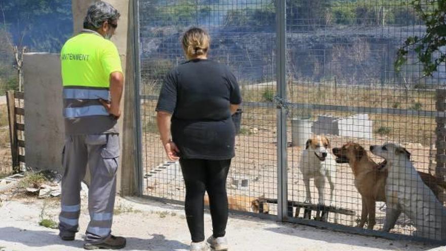Una mujer acude a rescatar a sus perros de una parcela.