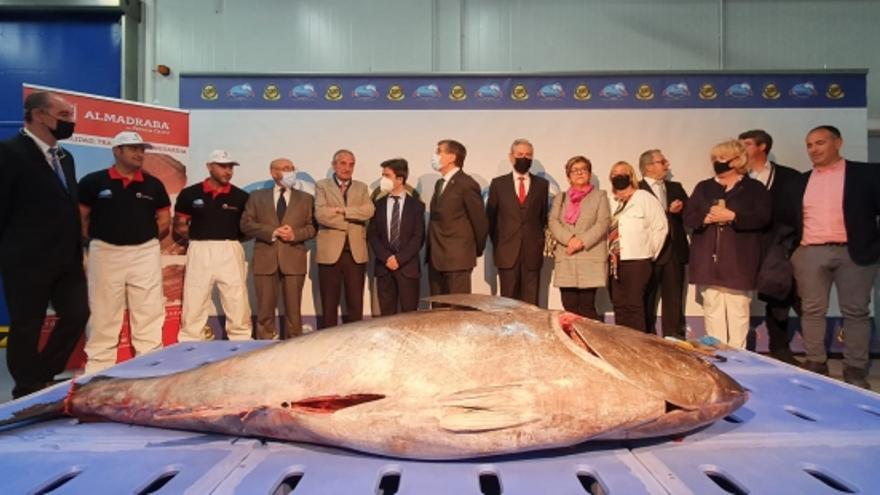 El atún de 300 kilos que fue despiezado en la celebración del centenario.
