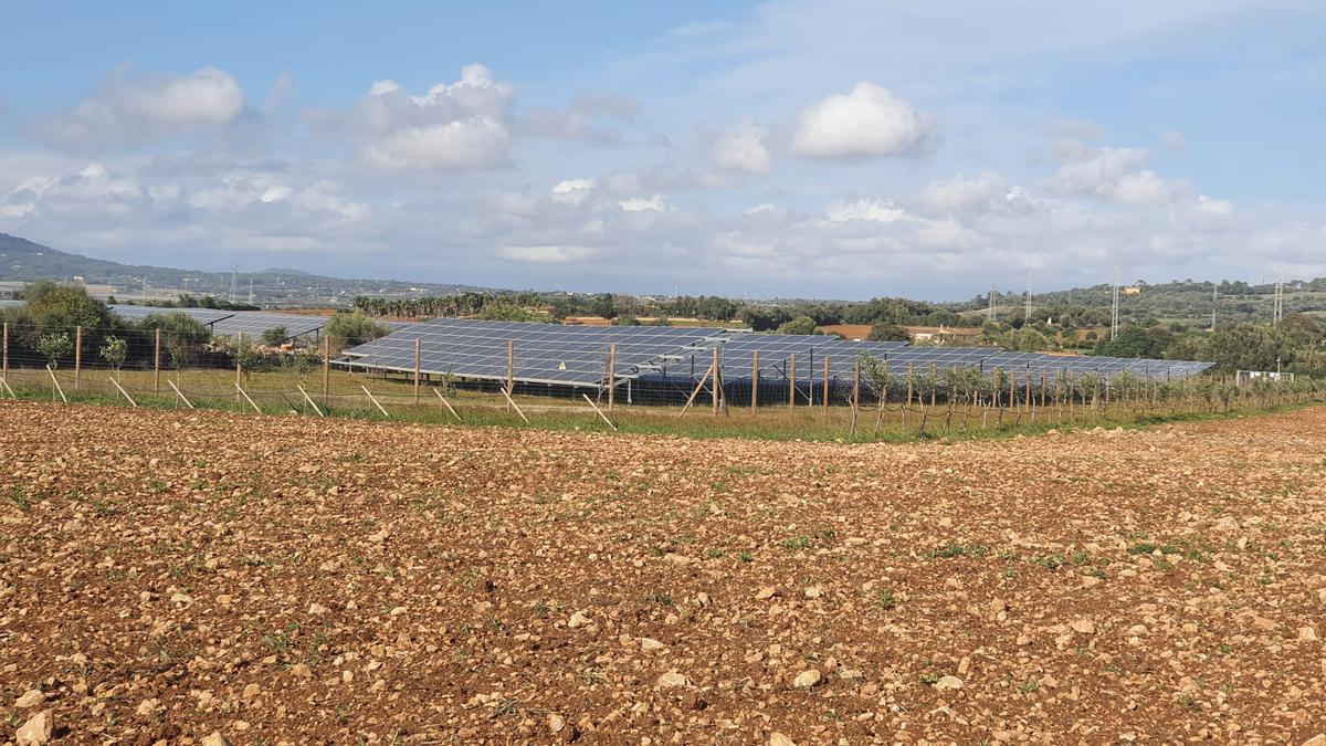 Parque solar en Manacor.