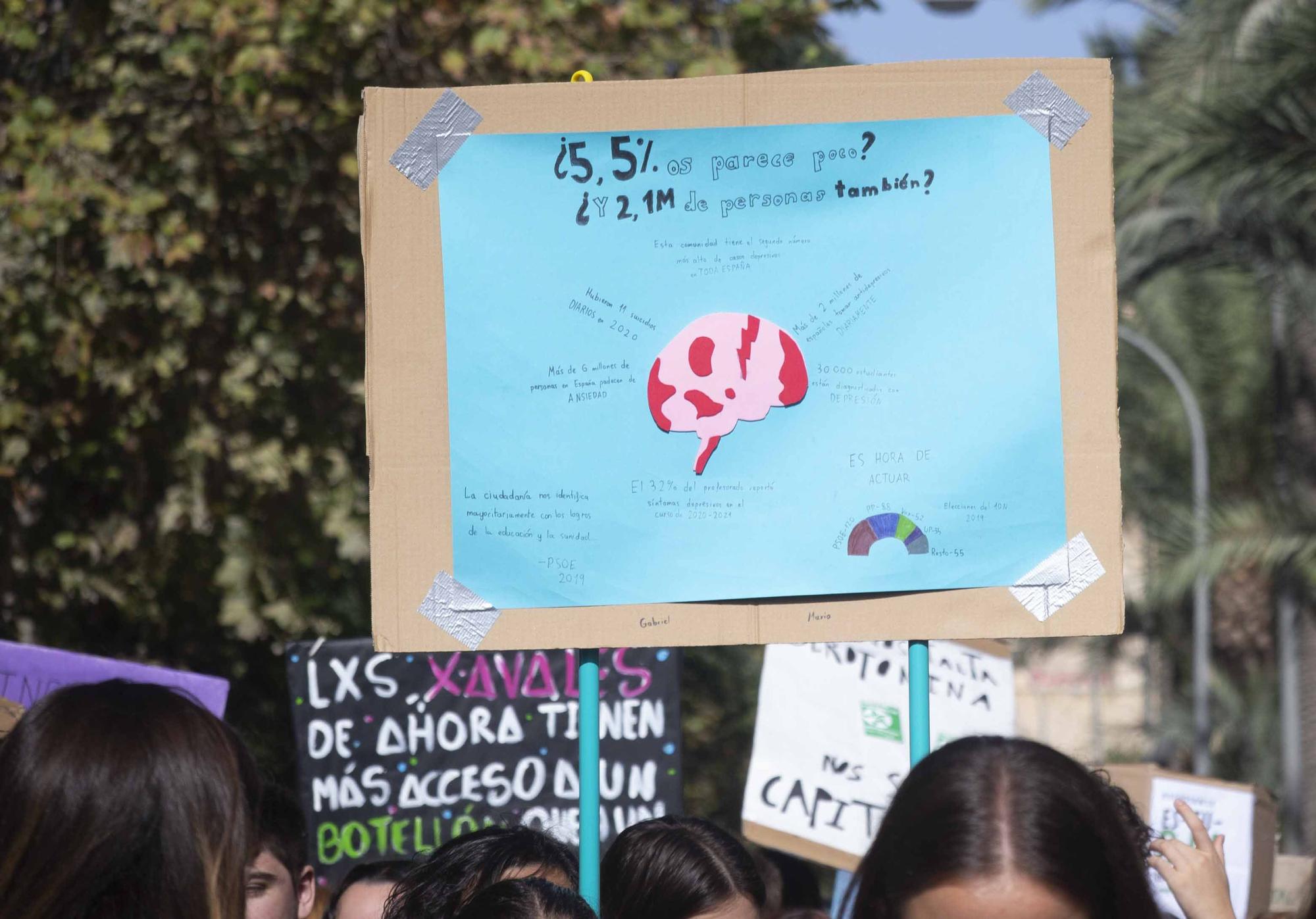 Estudiantes de Alicante reclamar más medios para la salud mental a Sanidad