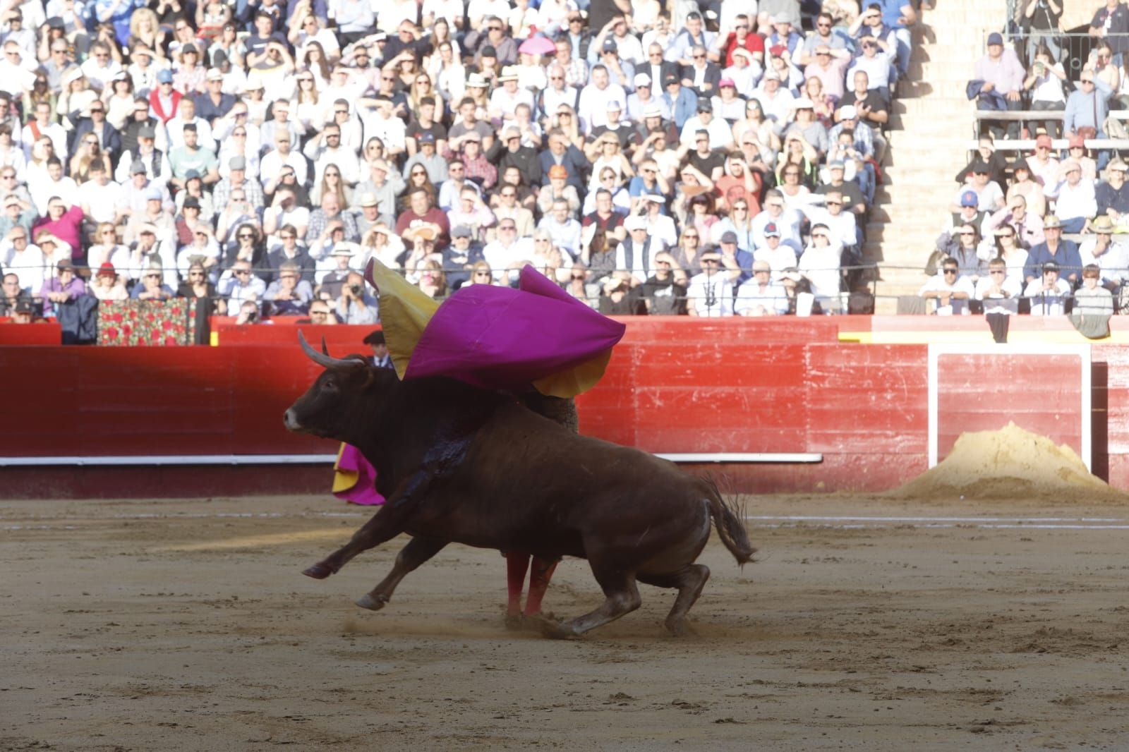 Así ha sido la primera corrida de toros de la Feria de Fallas