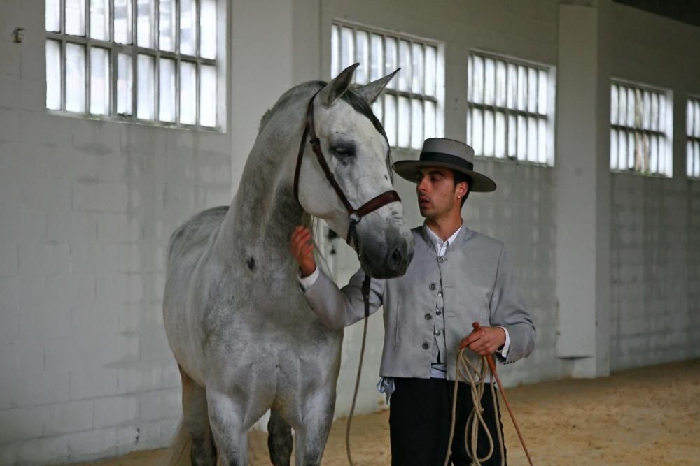 Brío y elegancia en la Feira de Pascua de A Estrada