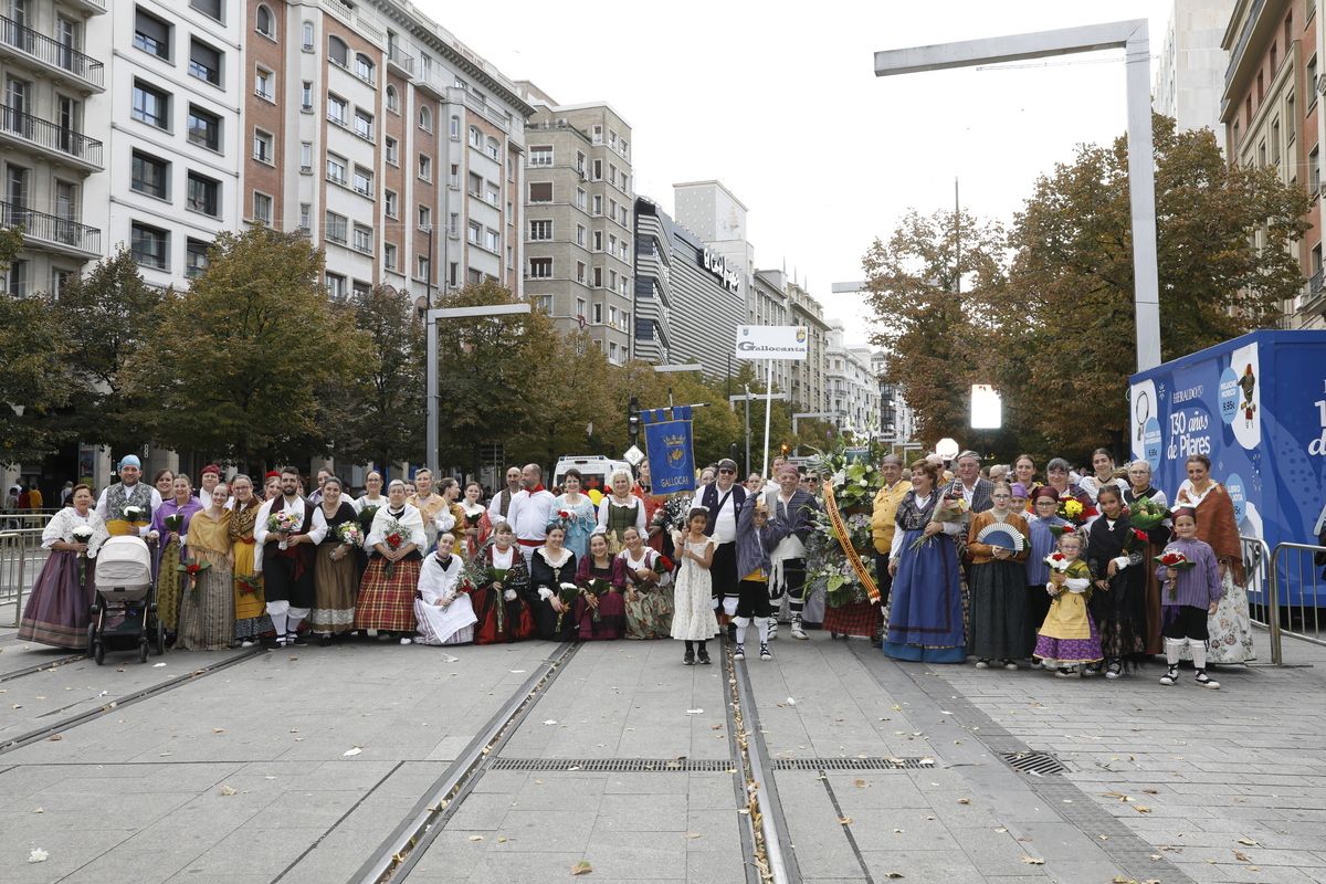 GALLOCANTA     KLAUDIA PUYUELO.jpg