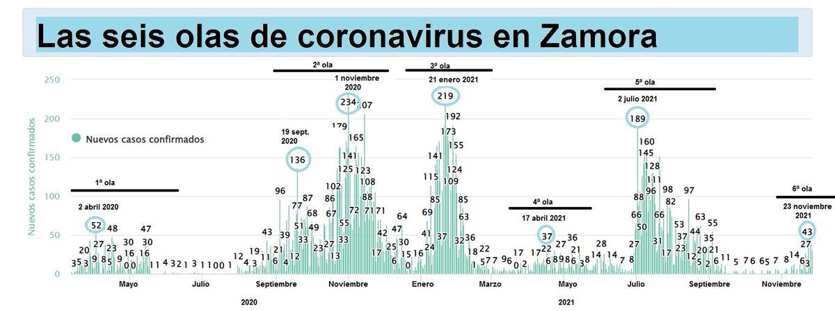 Evolución de la pandemia del coronavirus en Zamora, que inicia la sexta ola